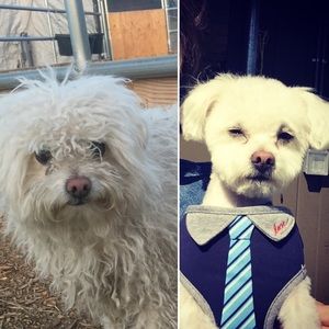 Meet your Posher, Liz